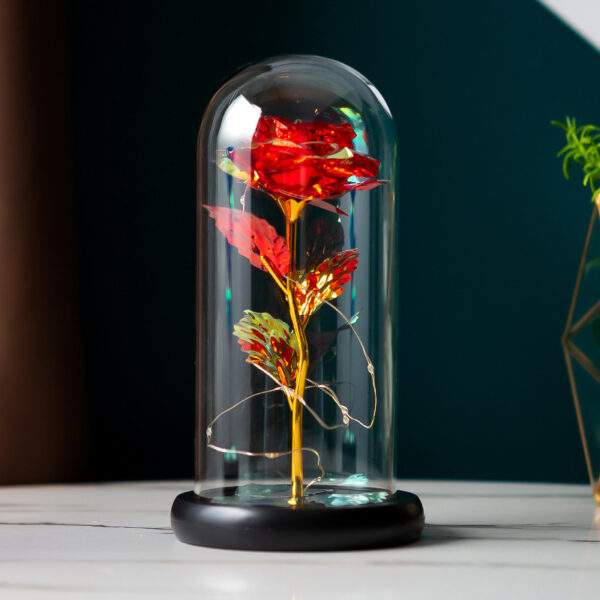 Preserved Flower Glass Cover Gold Foil Rose Flower Mothers Day Valentines Day Birthday Gift Gift Decoration Cross-Border Amazon - Image 5