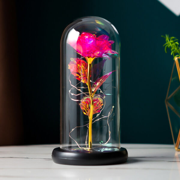 Preserved Flower Glass Cover Gold Foil Rose Flower Mothers Day Valentines Day Birthday Gift Gift Decoration Cross-Border Amazon - Image 4