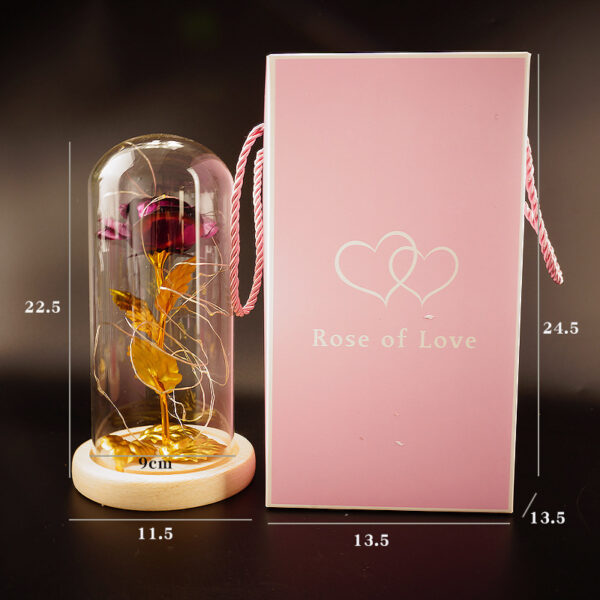 Preserved Flower Glass Cover Gold Foil Rose Flower Mothers Day Valentines Day Birthday Gift Gift Decoration Cross-Border Amazon - Image 10