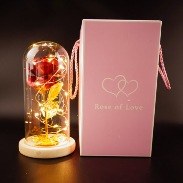 Preserved Flower Glass Cover Gold Foil Rose Flower Mothers Day Valentines Day Birthday Gift Gift Decoration Cross-Border Amazon - Image 9