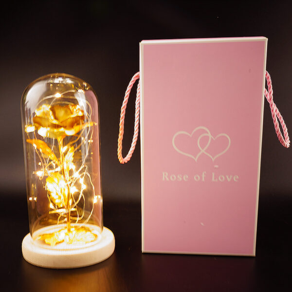 Preserved Flower Glass Cover Gold Foil Rose Flower Mothers Day Valentines Day Birthday Gift Gift Decoration Cross-Border Amazon - Image 7